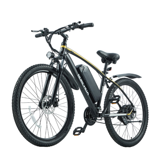 Bike RX 60