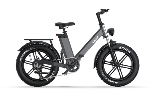 C6 -  E bike